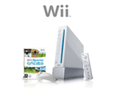 Nintendo Wii + Wii Sports