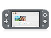 Die Spielekonsole für unterwegs. Nintendo Switch Lite Grau