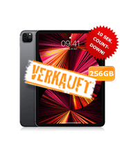 Apple iPad Pro 11 256GB grau (2021)