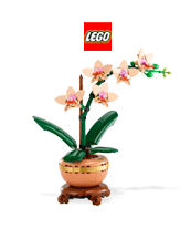 Lego Icons 10343 Mini-Orchidee