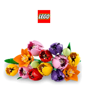 Lego 11501 Tulpenstrauß